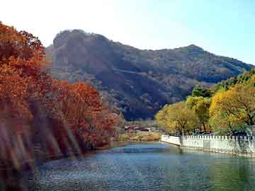 黄牛跳楼，卢湾注册公司